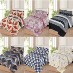 4 Pcs Printed Quilt Set