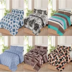 4 Pcs Printed Quilt Set